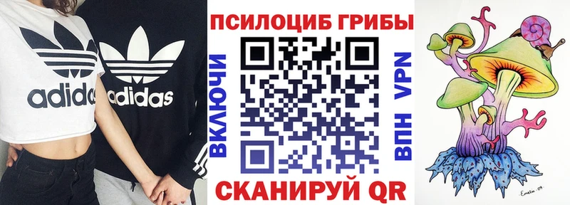 Купить  Алатырь  Псилоцибиновые грибы мухоморы 